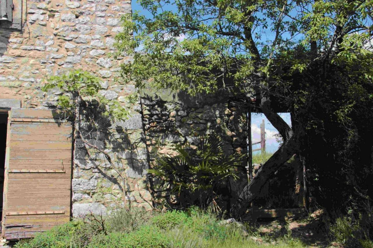 Studio Gard Calme Et Nature Russan Zewnętrze zdjęcie
