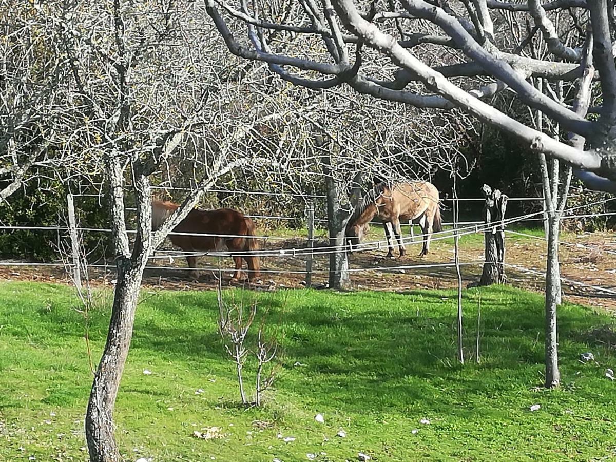 Studio Gard Calme Et Nature Russan Zewnętrze zdjęcie