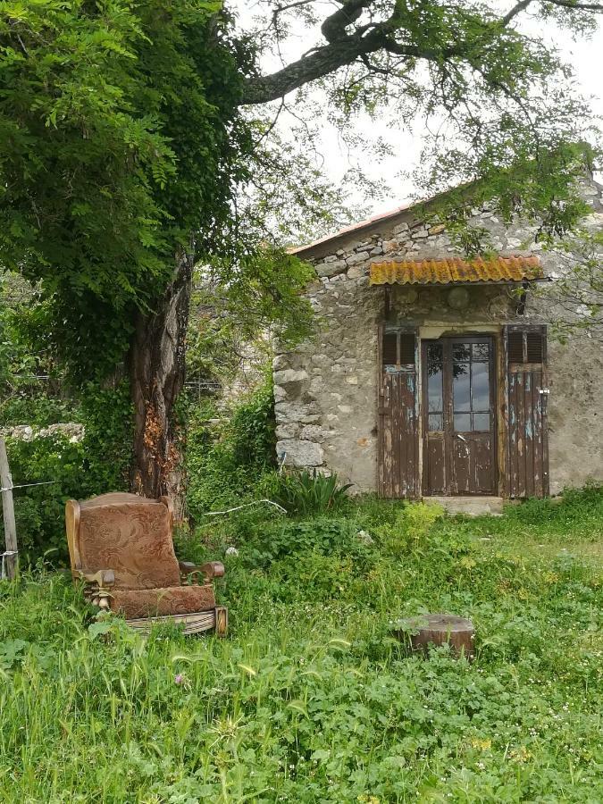 Studio Gard Calme Et Nature Russan Zewnętrze zdjęcie