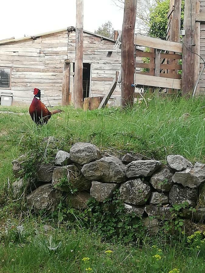 Studio Gard Calme Et Nature Russan Zewnętrze zdjęcie